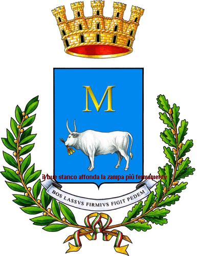 il bue stanco affonda la zampa più fermamente